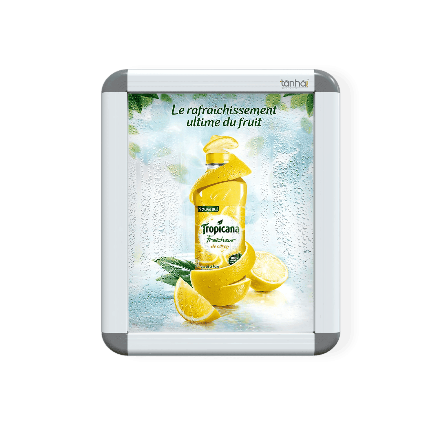 Poster Treo Tường